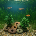 Aquarium Plant Holder Rock – Natural River Stone with Hole | Handmade Fish Tank Decor and Aquascape Accessory
