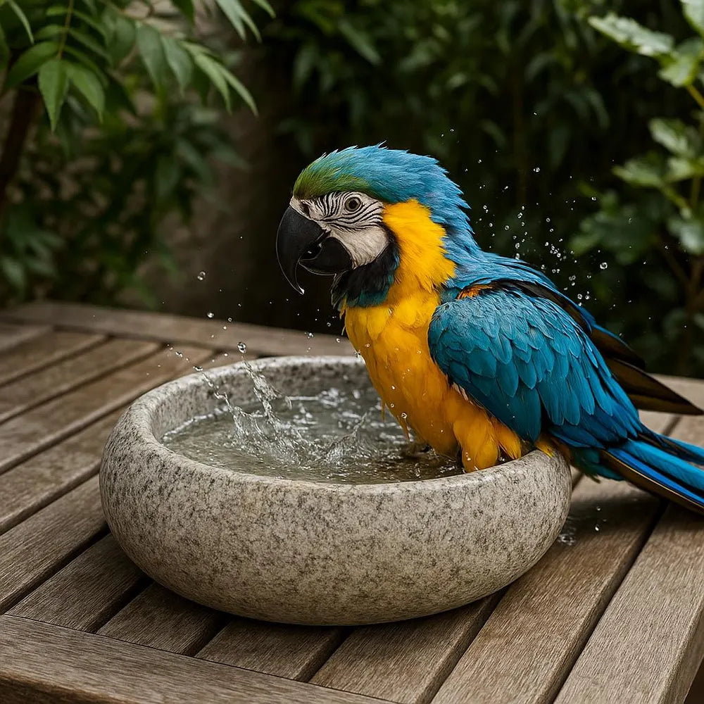 Natural Stone Parrot Bath Bowl – Handmade River Pebble Birdbath | For Parrots, Cockatiels and Garden Decor