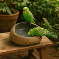 Natural Stone Parrot Bath Bowl – Handmade River Pebble Birdbath | For Parrots, Cockatiels and Garden Decor