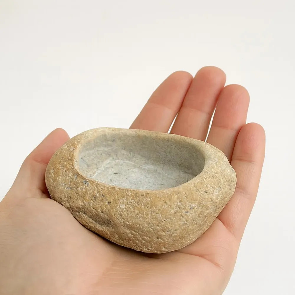 Natural Stone Blue Tongue Skink Bowl | Reptile Food Dish | Veggie Feeder | Heavy Rock Dish | Terrarium Decor