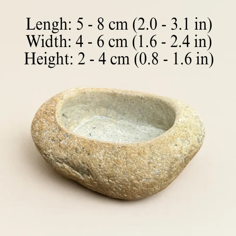 Natural River Stone Dart Frog Water Dish | Mini Food Bowl for Terrarium | Handmade Pebble Dish for Vivarium Decor