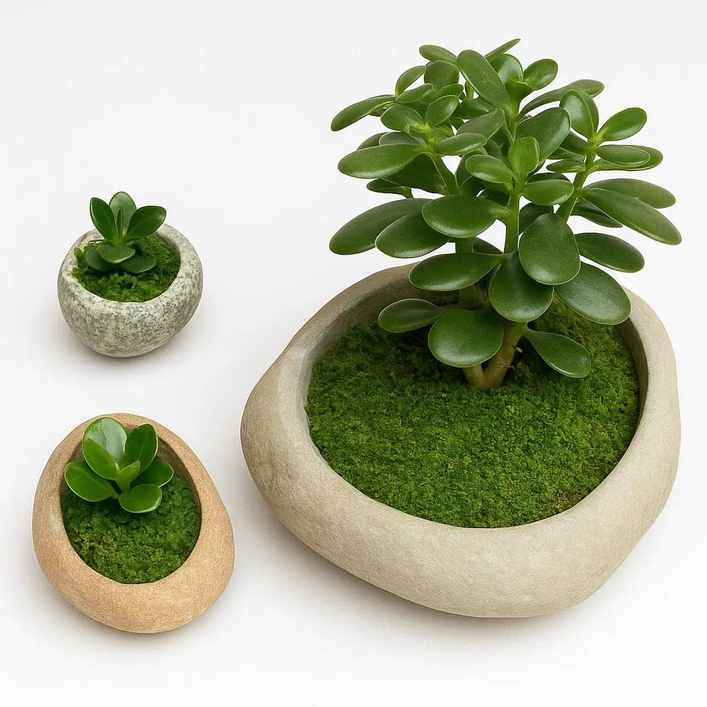 Natural Stone Planter Set – 3 Handmade River Rock Pots | Mini Plant Pots | Indoor Planter Set | Stone Flower Pot | Home and Garden Decor