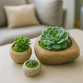 Natural Stone Planter Set – 3 Handmade River Rock Pots | Mini Plant Pots | Indoor Planter Set | Stone Flower Pot | Home and Garden Decor