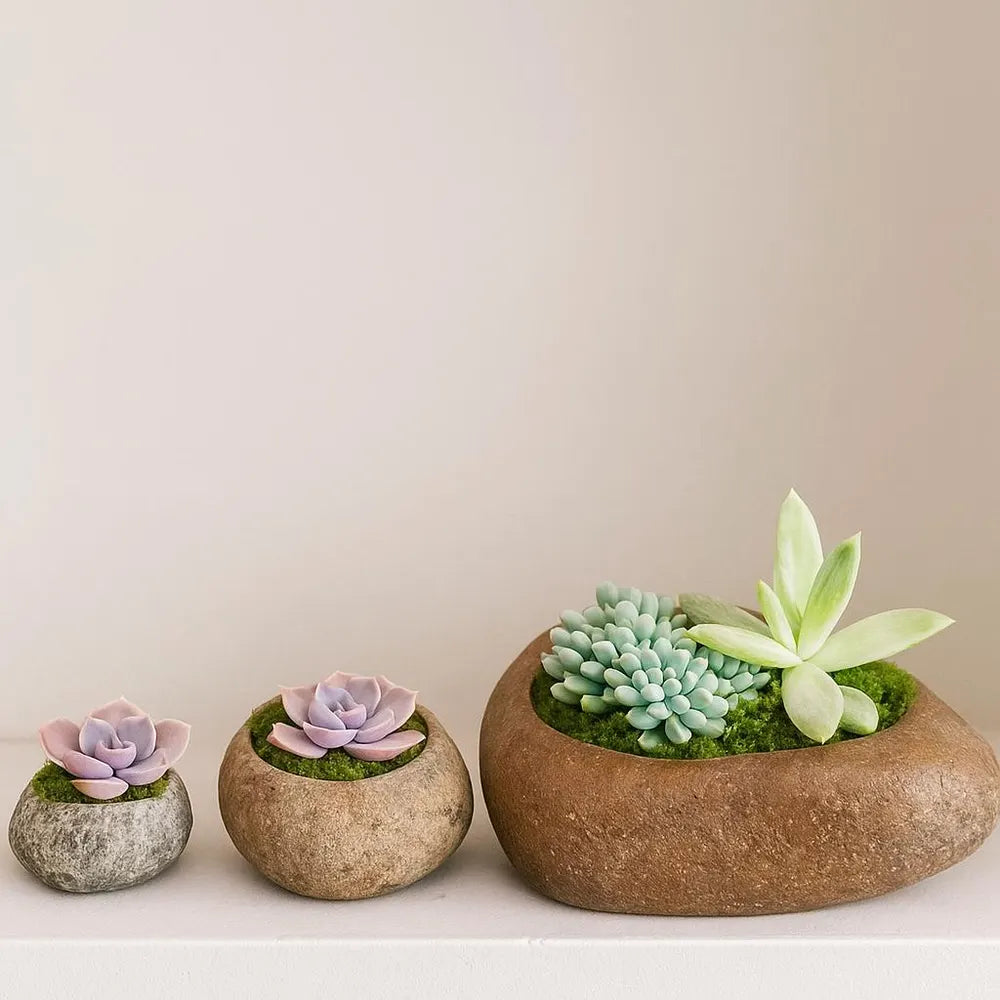 Natural Stone Planter Set – 3 Handmade River Rock Pots | Mini Plant Pots | Indoor Planter Set | Stone Flower Pot | Home and Garden Decor