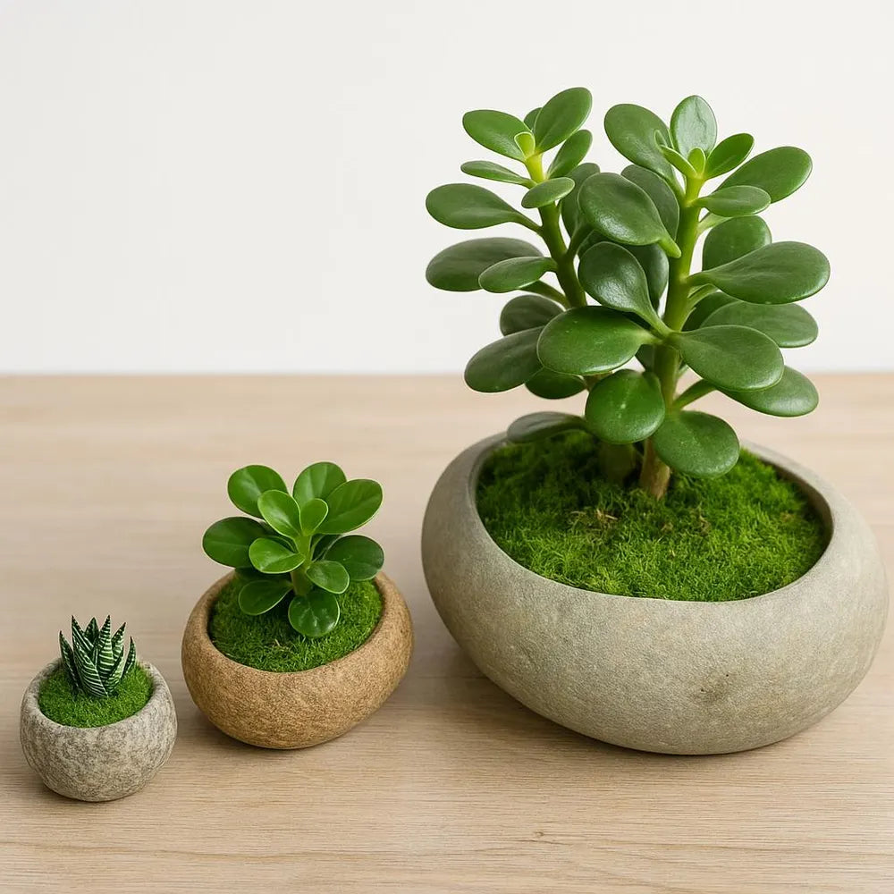 Natural Stone Planter Set – 3 Handmade River Rock Pots | Mini Plant Pots | Indoor Planter Set | Stone Flower Pot | Home and Garden Decor