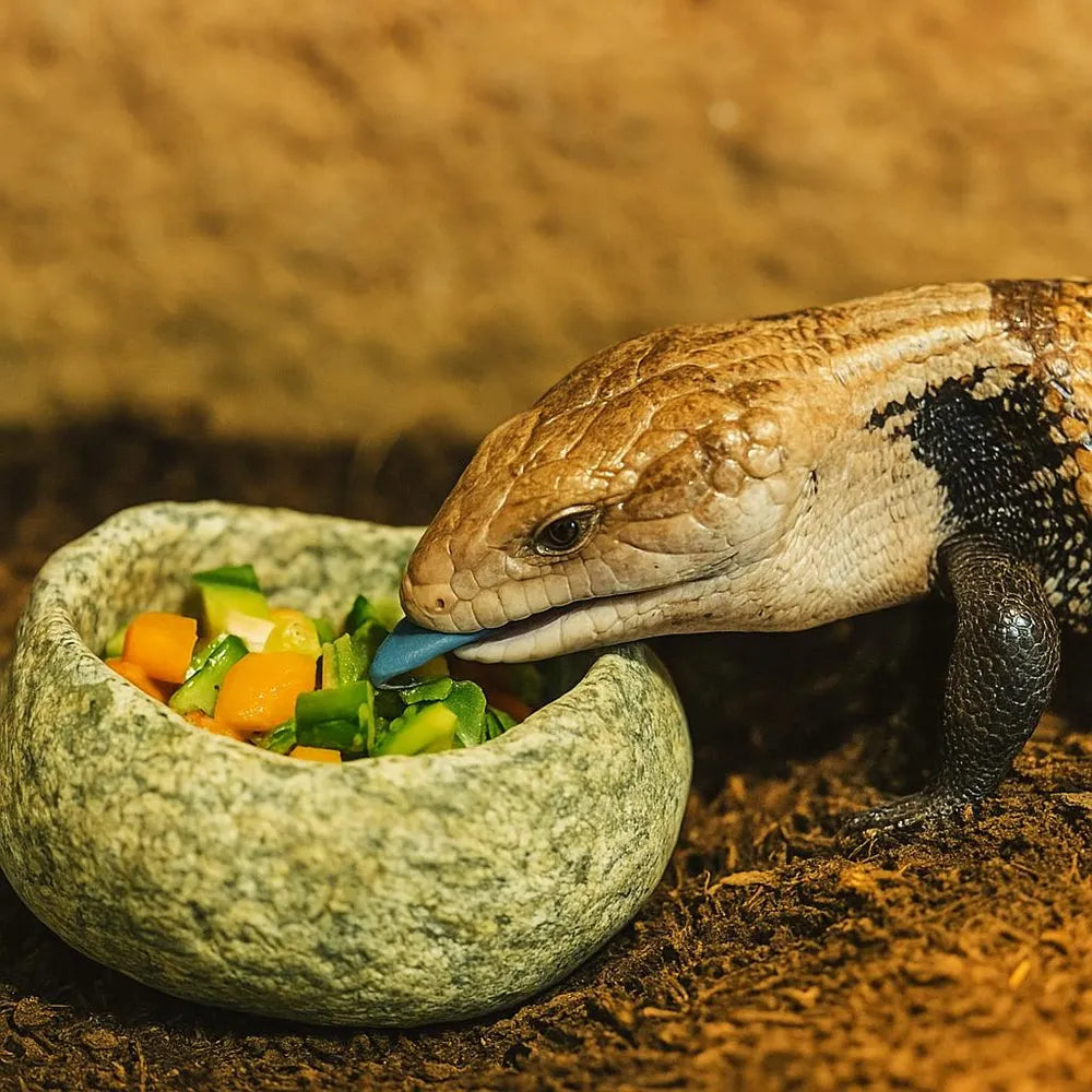 Natural Stone Blue Tongue Skink Bowl | Reptile Food Dish | Veggie Feeder | Heavy Rock Dish | Terrarium Decor