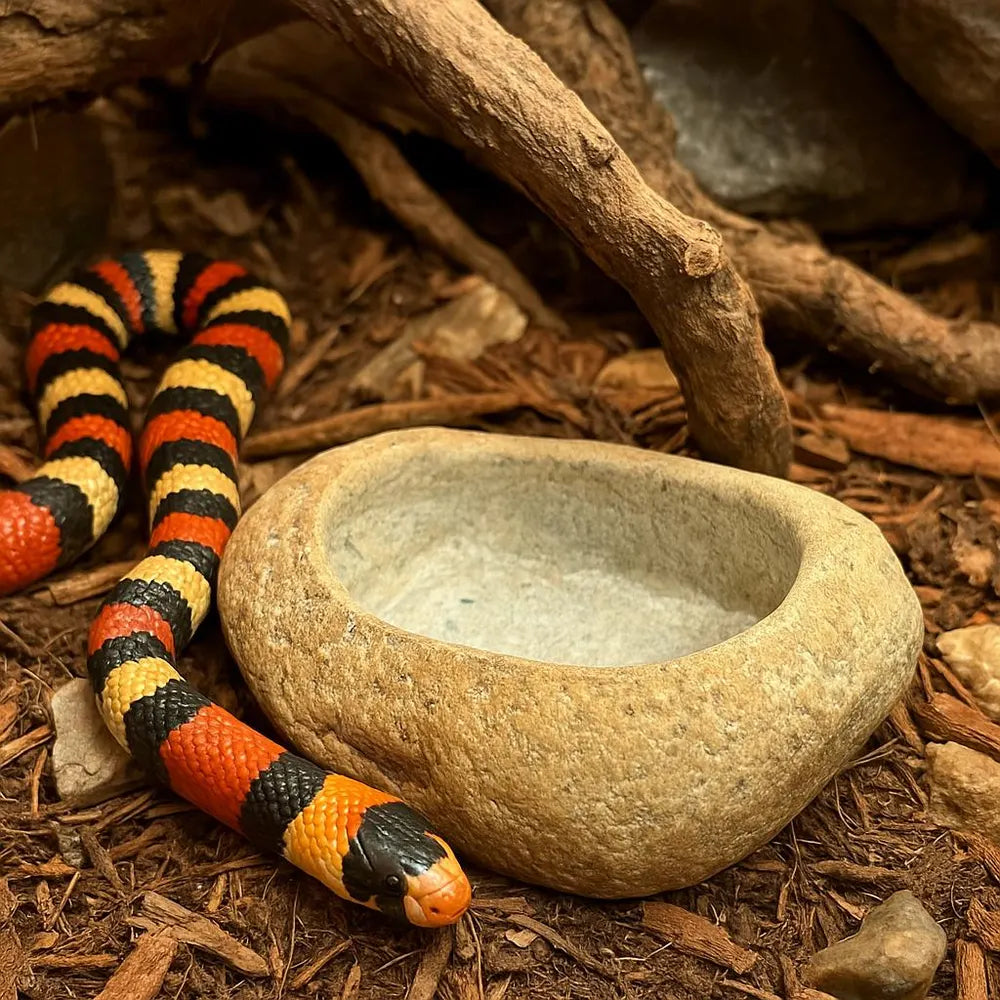 Natural Stone Water Bowl for King Snake / Milk Snake — Terrarium Decor Hydration Dish — Real River Rock Reptile Bowl