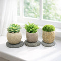Succulent Planter — Natural River Stone Desk Pot with Base, Small Miniature Indoor Bowl