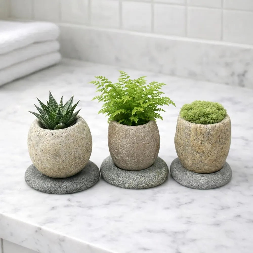 Succulent Planter — Natural River Stone Desk Pot with Base, Small Miniature Indoor Bowl