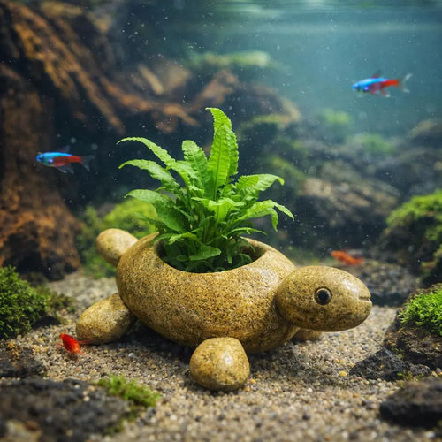Aquarium Decor Turtle Planter, Shrimp Hide Cave, Fish Tank Plant Pot, Pebble Aquarium Decor, Mini Planter for Aquascape