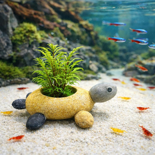 Aquarium Decor Turtle Planter, Shrimp Hide Cave, Fish Tank Plant Pot, Pebble Aquarium Decor, Mini Planter for Aquascape
