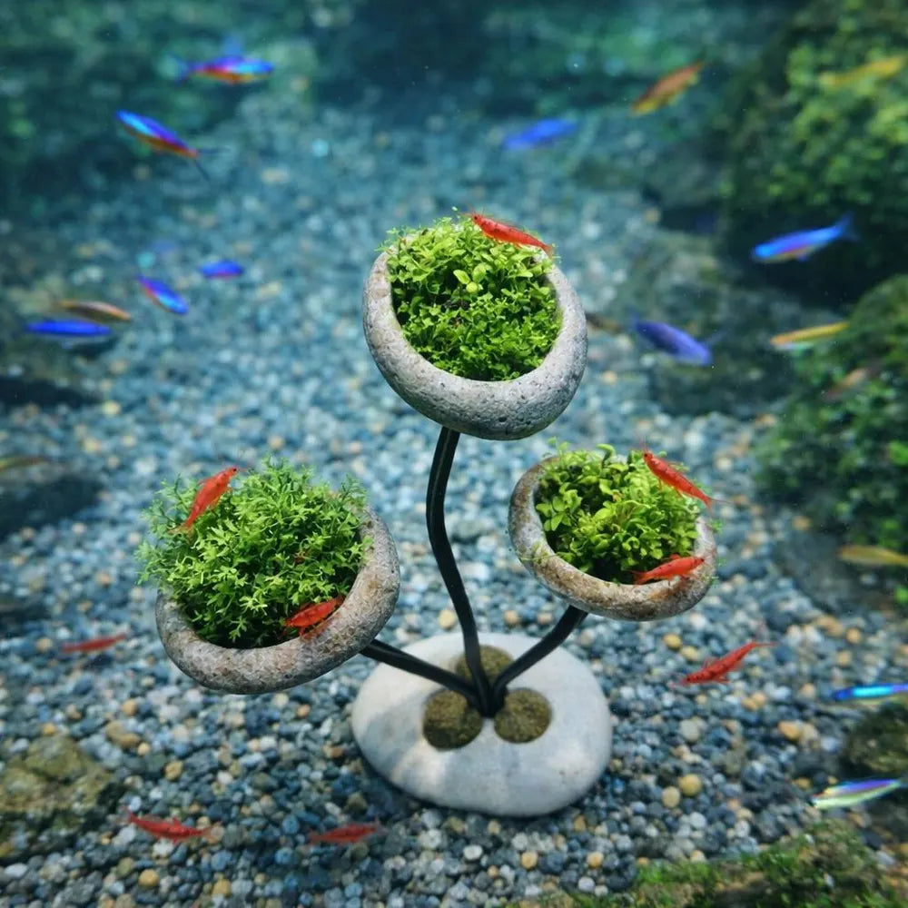 Aquarium Plant Holder Stand, Stone Planter Set, Adjustable Wire Aquascape Decor, Pebble Mini Pots, Fish Tank Plant Display