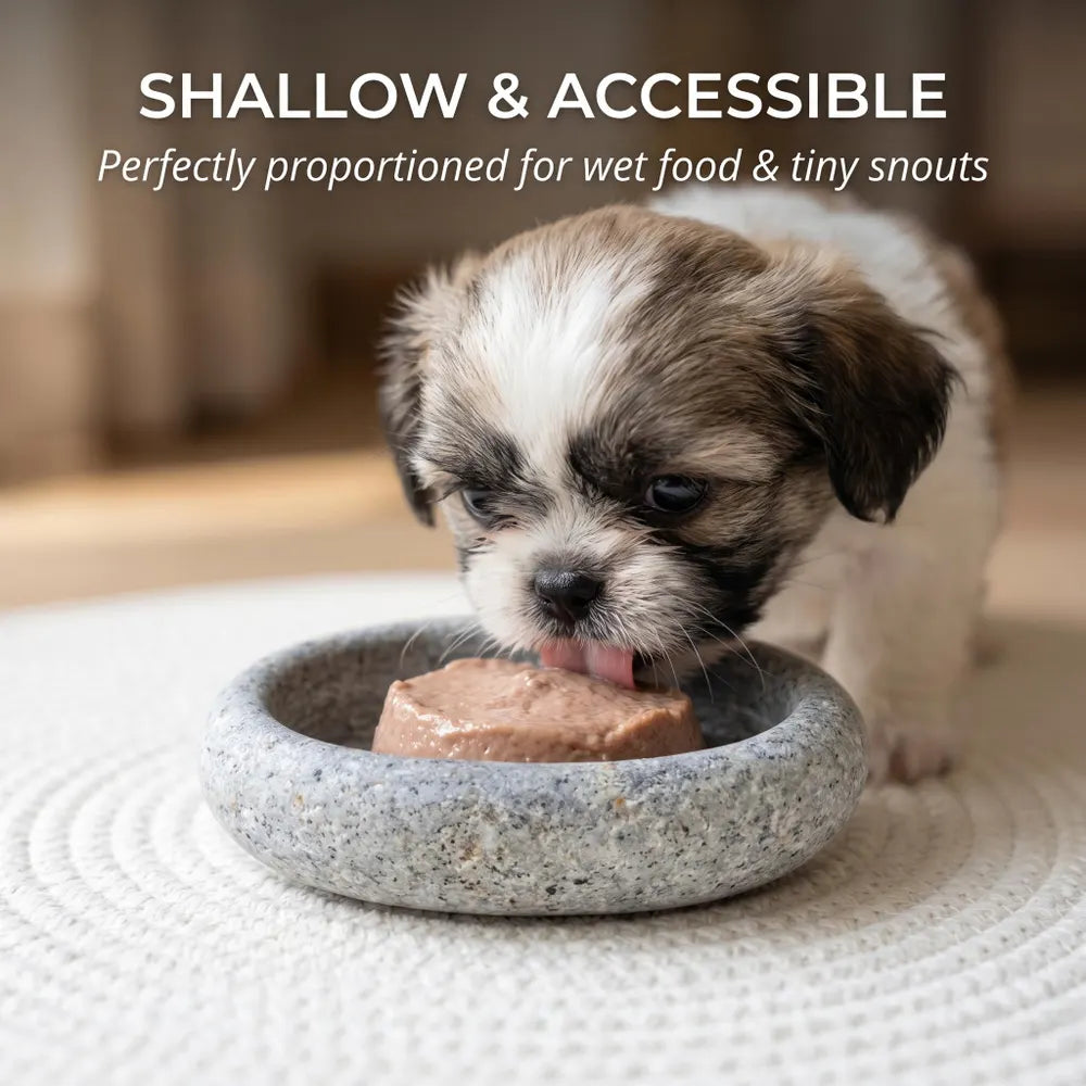 Dog Treat Bowl – Natural Stone Puppy Snack Bowl for Training Rewards, Freeze Dried Treats and Supplements