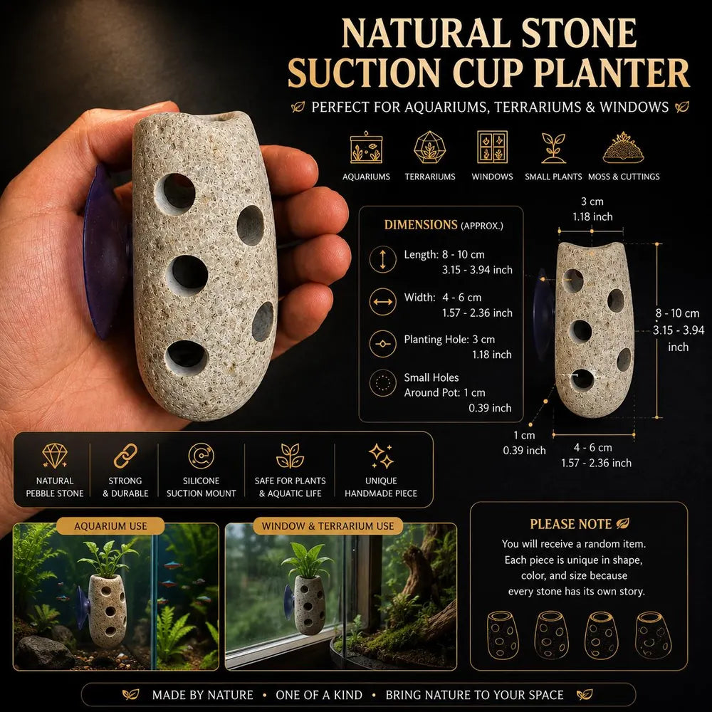 Aquarium Holder, Fish Tank Planter, Aquarium Suction Cup Planter, Aquarium Plant Holder, Natural Stone Aquarium Decor