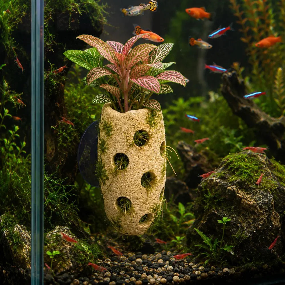 Aquarium Holder, Fish Tank Planter, Aquarium Suction Cup Planter, Aquarium Plant Holder, Natural Stone Aquarium Decor