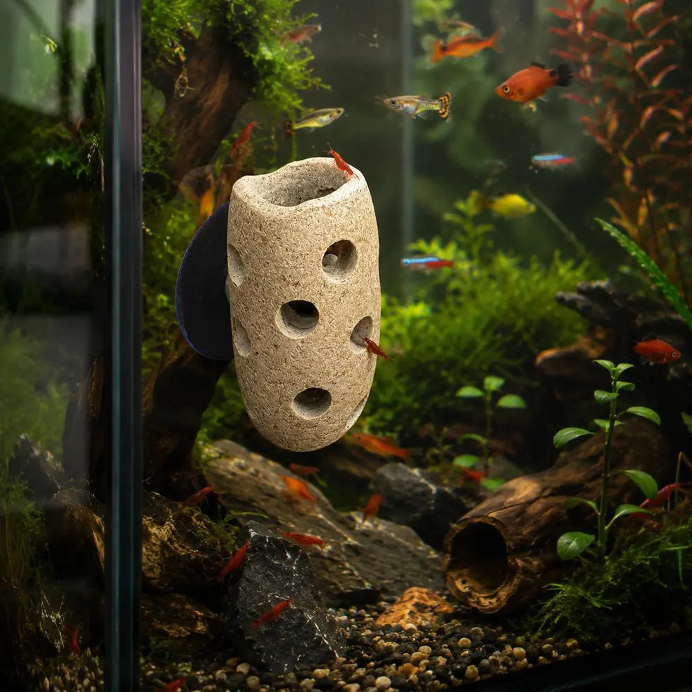 Aquarium Holder, Fish Tank Planter, Aquarium Suction Cup Planter, Aquarium Plant Holder, Natural Stone Aquarium Decor