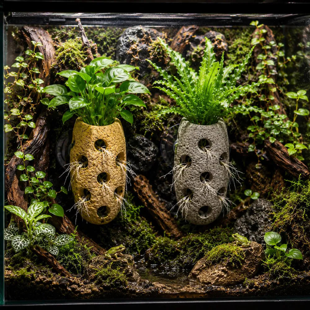 Hanging Planter, Succulent Planter, Wall Planter, Terrarium Decor, Terrarium Kit, Suction Cup Planter, Vertical Planter, Living Wall Planter