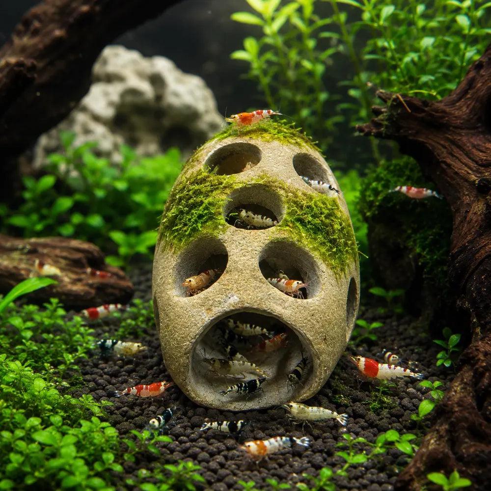 Shrimp Hide Cave Natural Stone, Shrimp Breeding Cave, Aquarium Shrimp Shelter, Fish Hideout Cave, Shrimp Tank Decor, Pebble Aquarium Decor